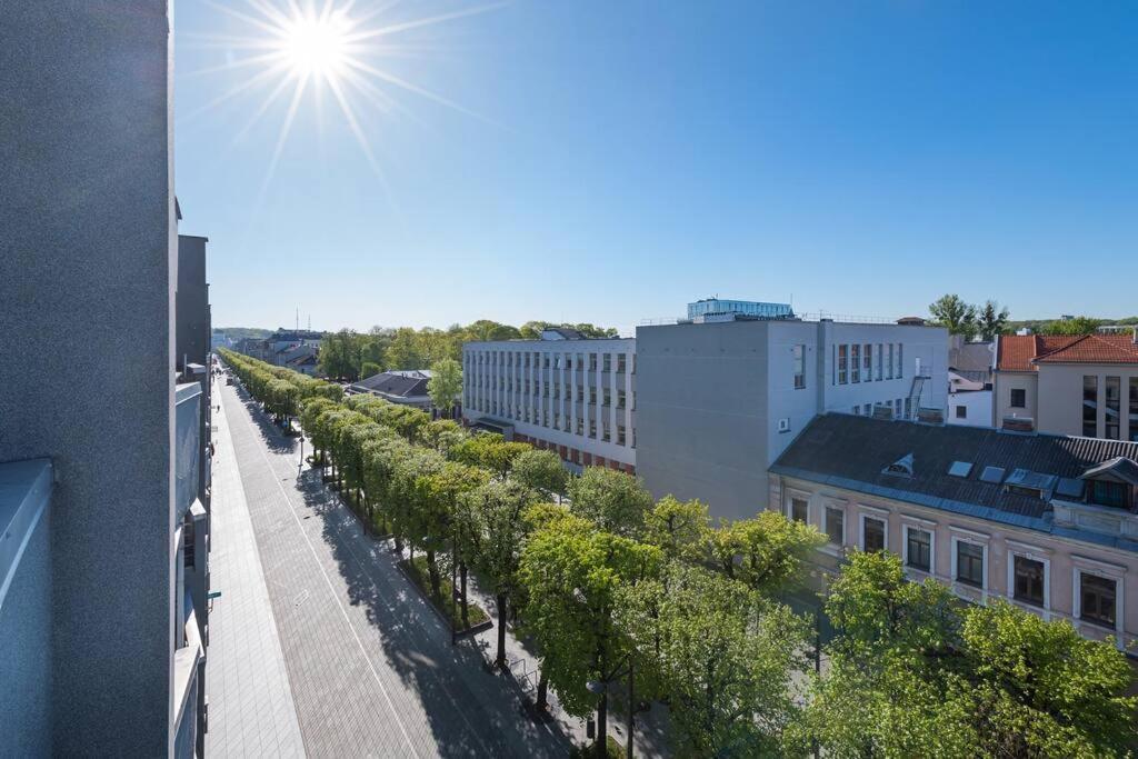 Central 2 Bd Apartment By Hostlovers Каунас Экстерьер фото